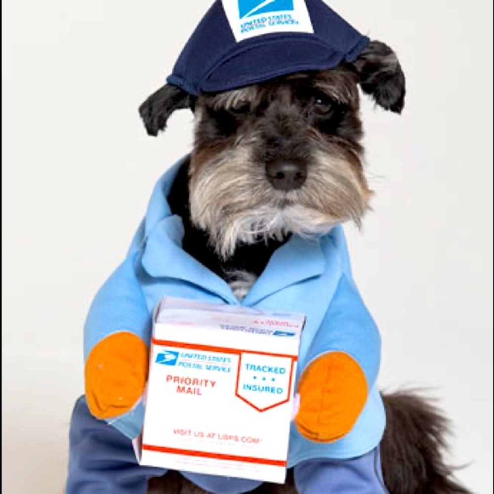 Dog Mail Carrier Costume